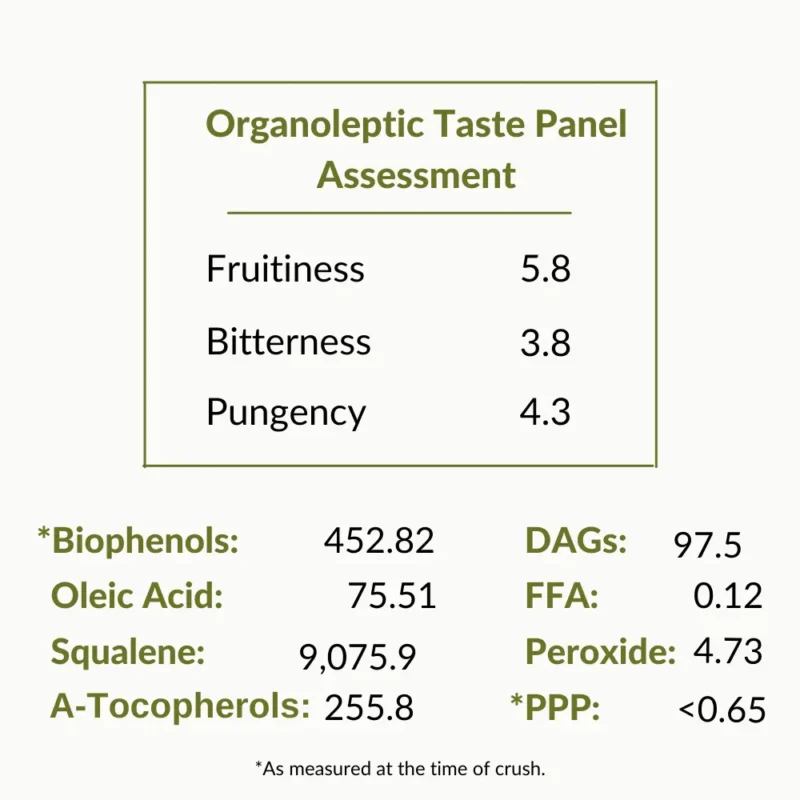 Picual Extra Virgin Olive Oil Testing